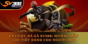 Cá Cược Đá Gà SV388: Hướng Dẫn Chi Tiết Dành Cho Người Mới