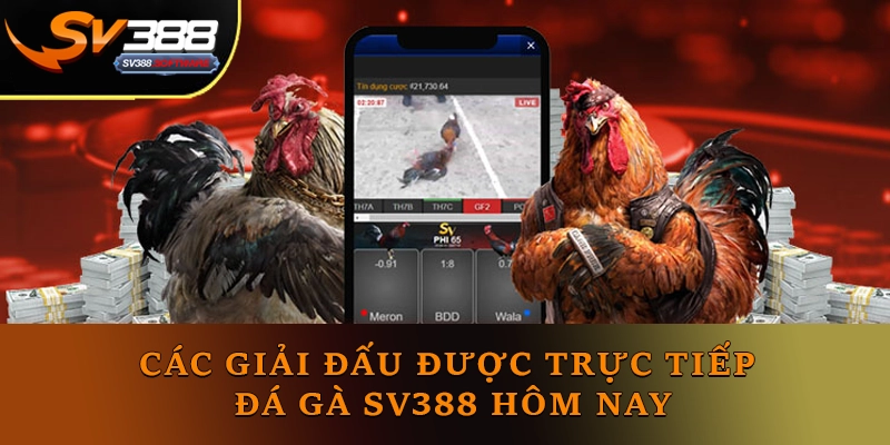 Các giải đấu được trực tiếp Đá gà Sv388 hôm nay Các giải đấu được trực tiếp Đá gà Sv388 hôm nay