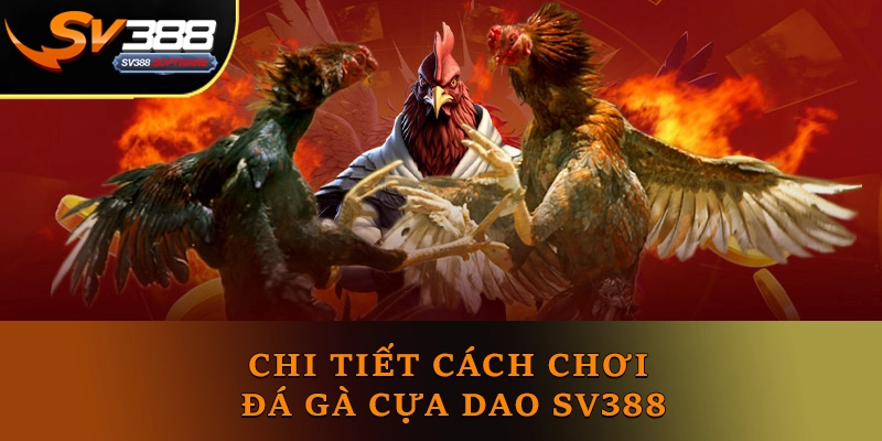 Chi tiết cách chơi đá gà cựa dao SV388 Chi tiết cách chơi đá gà cựa dao SV388