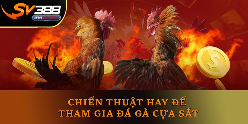 Chiến thuật hay để tham gia đá gà cựa sắt Chiến thuật hay để tham gia đá gà cựa sắt