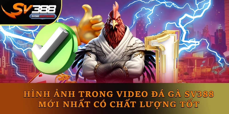 Hình ảnh trong video đá gà SV388 mới nhất có chất lượng tốt Hình ảnh trong video đá gà SV388 mới nhất có chất lượng tốt