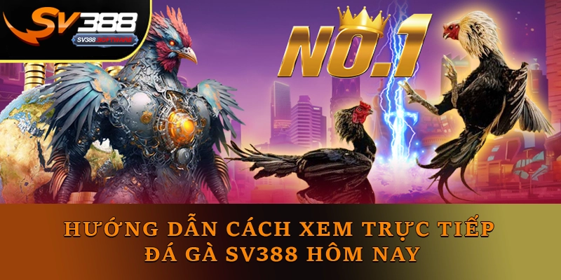 Hướng dẫn cách xem Trực tiếp Đá gà Sv388 hôm nay Hướng dẫn cách xem Trực tiếp Đá gà Sv388 hôm nay