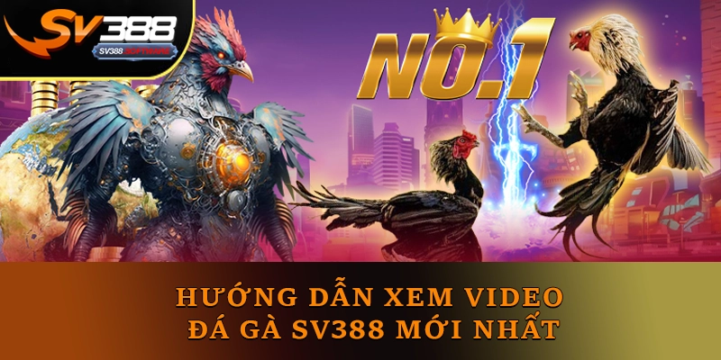 Hướng dẫn xem video đá gà SV388 mới nhất Hướng dẫn xem video đá gà SV388 mới nhất