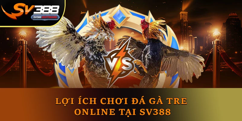 Lợi ích chơi đá gà tre online tại SV388 Lợi ích chơi đá gà tre online tại SV388