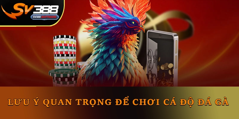 Lưu ý quan trọng để chơi cá cược đá gà Sv388 Lưu ý quan trọng để chơi cá cược đá gà Sv388