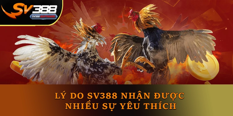 Lý do xem Đá Gà SV388 nhận được nhiều sự yêu thích