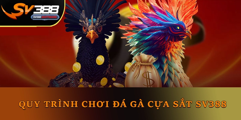 Quy trình chơi đá gà cựa sắt SV388