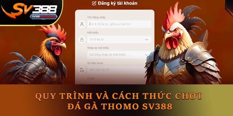 Quy trình và cách thức chơi đá gà Thomo SV388 Quy trình và cách thức chơi đá gà Thomo SV388