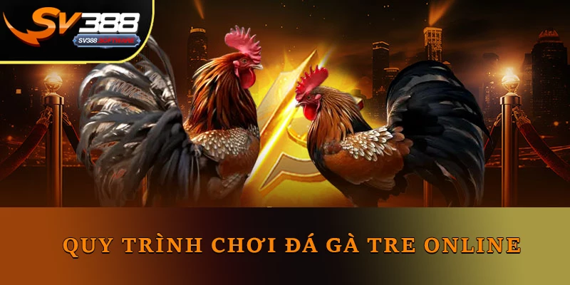 Quy trình chơi đá gà tre online Quy trình chơi đá gà tre online