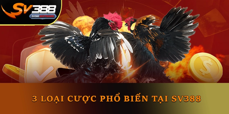 3 loại cược phổ biến tại SV388 3 loại cược phổ biến tại SV388