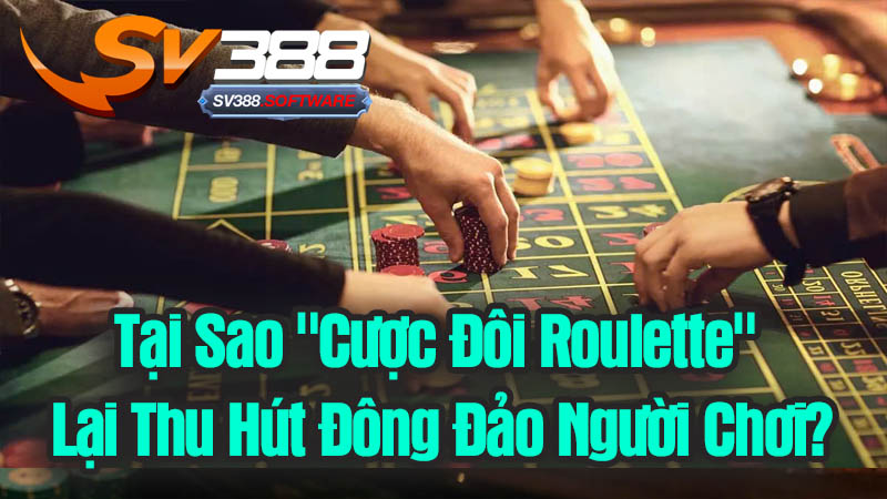 Tại Sao "Cược Đôi Roulette" Lại Thu Hút Đông Đảo Người Chơi? Tại Sao "Cược Đôi Roulette" Lại Thu Hút Đông Đảo Người Chơi?